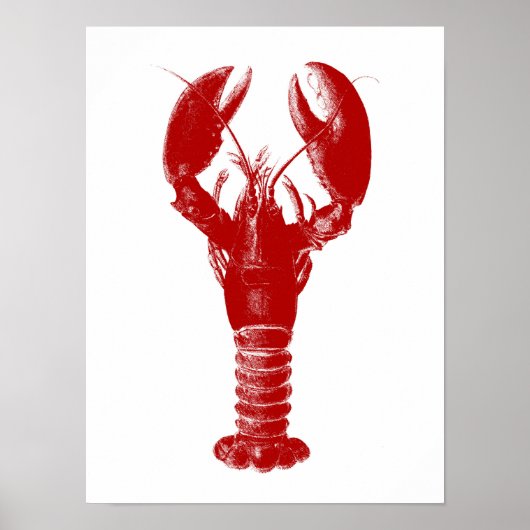 Poster Homard rouge profond sur blanc (Devant)