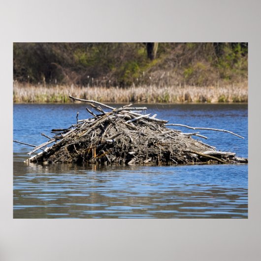 Poster Home (Devant)