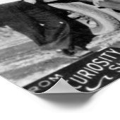 Poster Home Sweet Home dans un sapin (Coin)