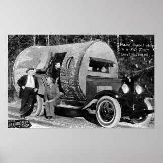 Poster Home Sweet Home dans un sapin