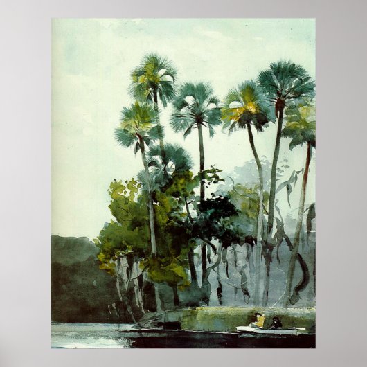 Poster Homer - Homosassa River (Devant)