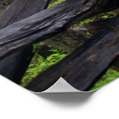 Poster Homestead sur un matin brumeux (Coin)