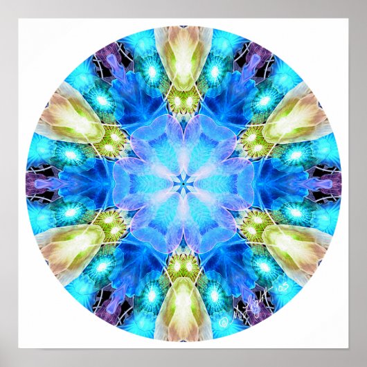 Poster "Hommage à Chihuly" Mandala Poster/ Imprimer (Devant)