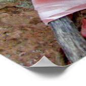 Poster Homme andin/Poster (Coin)