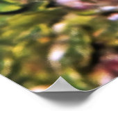 Poster Homme Anthia (Coin)