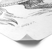 Poster Homme aux armes (Coin)