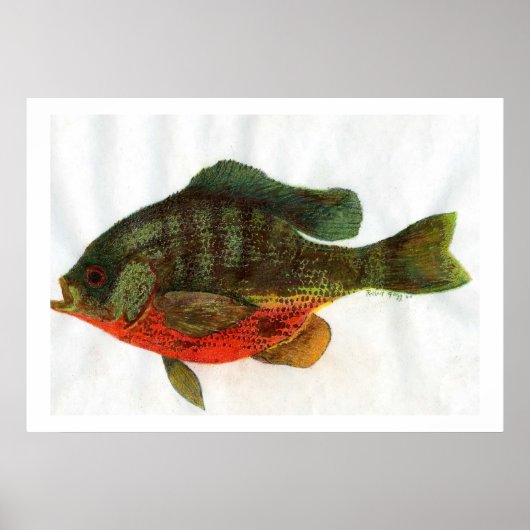 Poster Homme Bluegille (Devant)