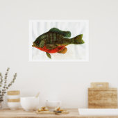 Poster Homme Bluegille (Cuisine)