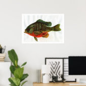 Poster Homme Bluegille (Bureau à domicile)