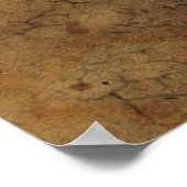 Poster Homme crâne arrière - plan texture mort (Coin)