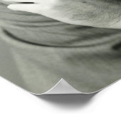 Poster Homme d'affaires Fumer le cigare (Coin)