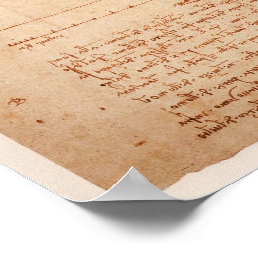 Poster Homme DaVinci (Coin)