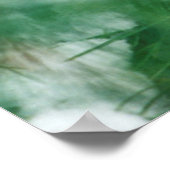 Poster Homme du Cardinal du Nord sur l'arbre, IL (Coin)