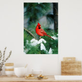 Poster Homme du Cardinal du Nord sur l'arbre, IL (Cuisine)