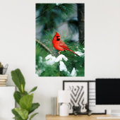 Poster Homme du Cardinal du Nord sur l'arbre, IL (Bureau à domicile)