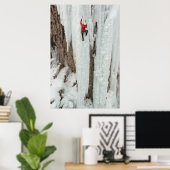 Poster Homme escalade glace, Colorado (Bureau à domicile)