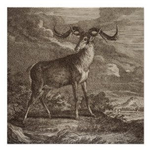 Poster Homme et jeune Cerf rouge