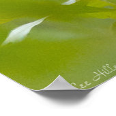 Poster Homme Scarlet Tanager dans le vert d'été (Coin)