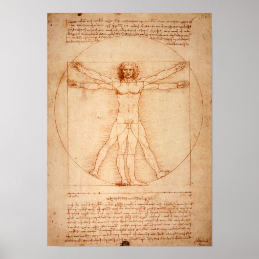 Poster Homme vitruvien de Da Vinci (1487) (Devant)