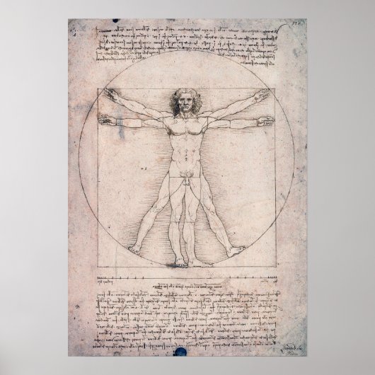 Poster Homme vitruvien, Léonard de Vinci (Devant)