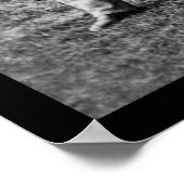 Poster Hommes et Cannon à Fair Oaks, VA Encampment 1862 (Coin)