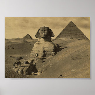 Poster Hommes et chameaux sur la patte du Sphinx, Pyramid