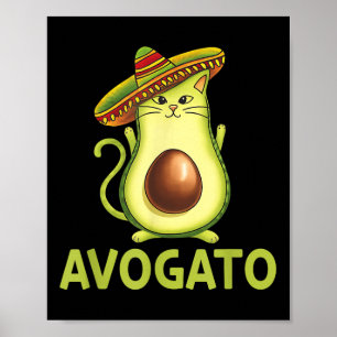 Poster Hommes Mexicains Avogatos Cinco De Mayo Fiesta Par