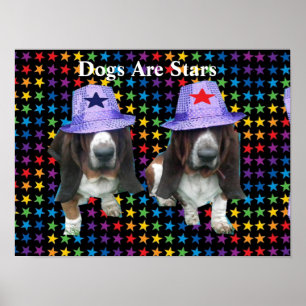Poster honden zijn sterren