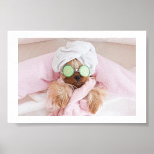 poster hondenkruid / hondenspa