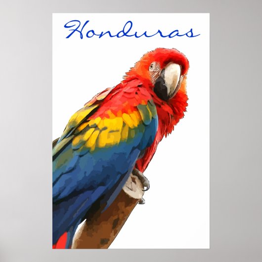 Poster Honduras Scarlet Macaw (Devant)