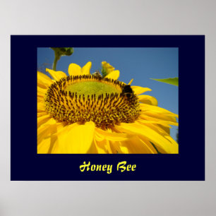 Poster Honey Bee art print Sunflower Garden Canvas art