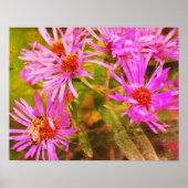 Poster Honey Bee Aster Flower Distressed Art (Devant)