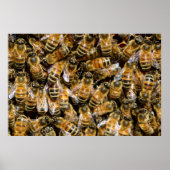 Poster Honey bees (Devant)