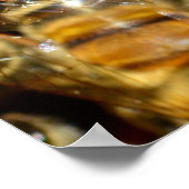 Poster Honey bees (Coin)