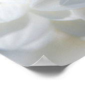 Poster Honeybee on a Dahlia (Coin)