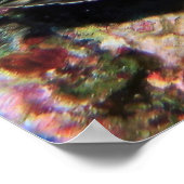 Poster Honeycomb Grouper (Coin)