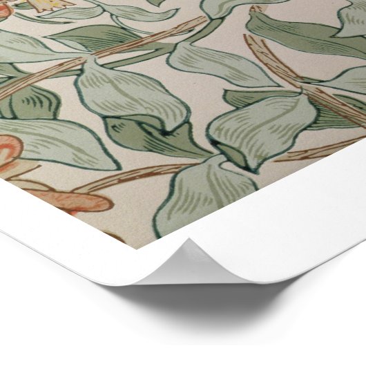 Poster Honeysuckle II (Coin)