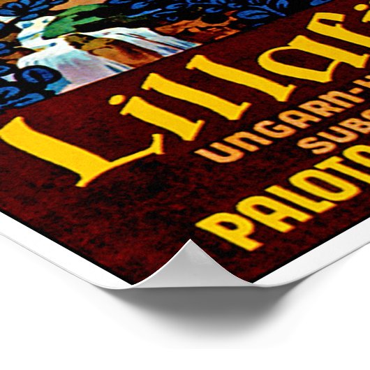 Poster Hongrie lillafured (Coin)