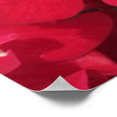 Poster - Honingbijen op Roos (Hoek)