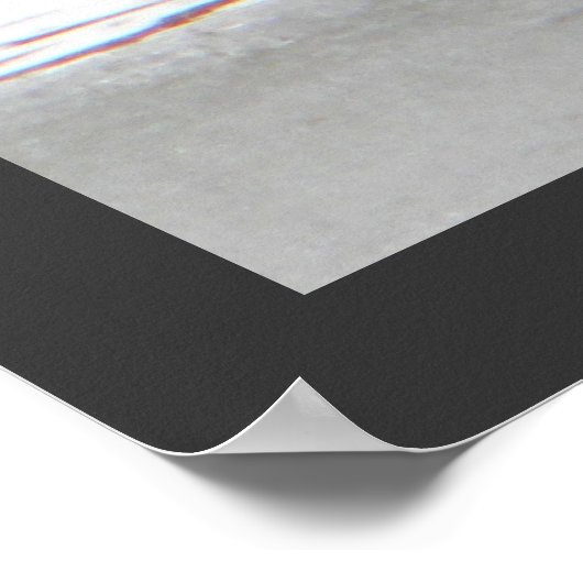 Poster Honkers - Oies du Canada (Coin)