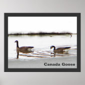 Poster Honkers - Oies du Canada (Devant)