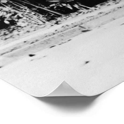 Poster Honolulu, Hawaii - Le Saucisson (Coin)