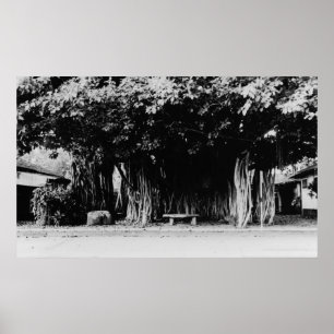 Poster Honolulu, Hawaii - Le Saucisson