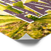 Poster - Honolulu Hawaii Palm Island (Hoek)