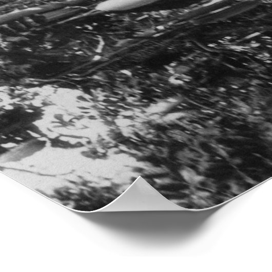 Poster Honolulu, HI - Université d'Hawaii (Coin)