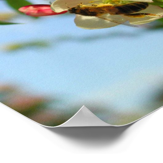 Poster Honyebee 8x10 (Coin)