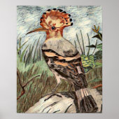 Poster Hoopoe (Devant)