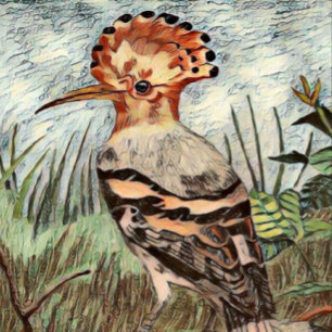 Poster Hoopoe