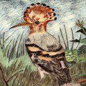 Poster Hoopoe