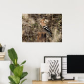 Poster Hoopoe Femme Sur Le Tronc (Bureau à domicile)